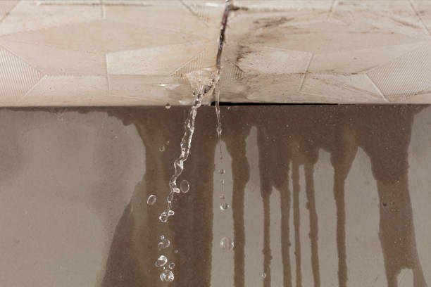 Professional Burst Pipe Cleanup technician working in Princeton, WV